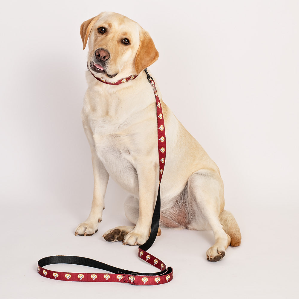 Star Trek: The Next Generation Command Pet Leash