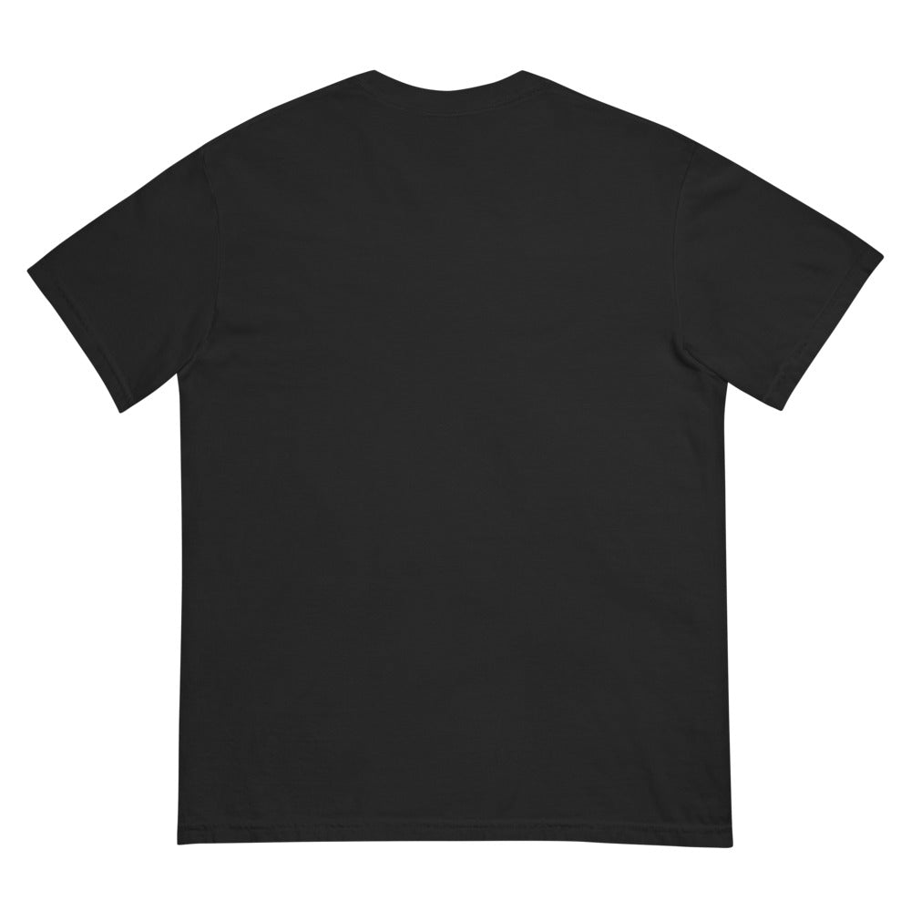 Star Trek Pride Starships Proudly Go! Comfort Colors T-Shirt