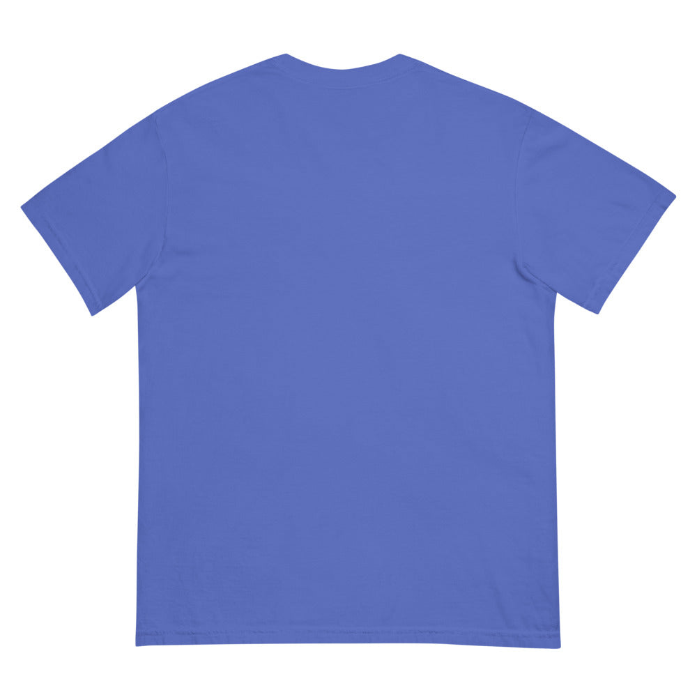 Star Trek Pride Starships Proudly Go! Comfort Colors T-Shirt