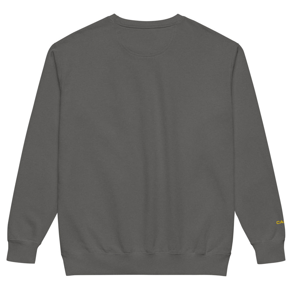 Star Trek: Starfleet Academy Sweatshirt Comfort Colors