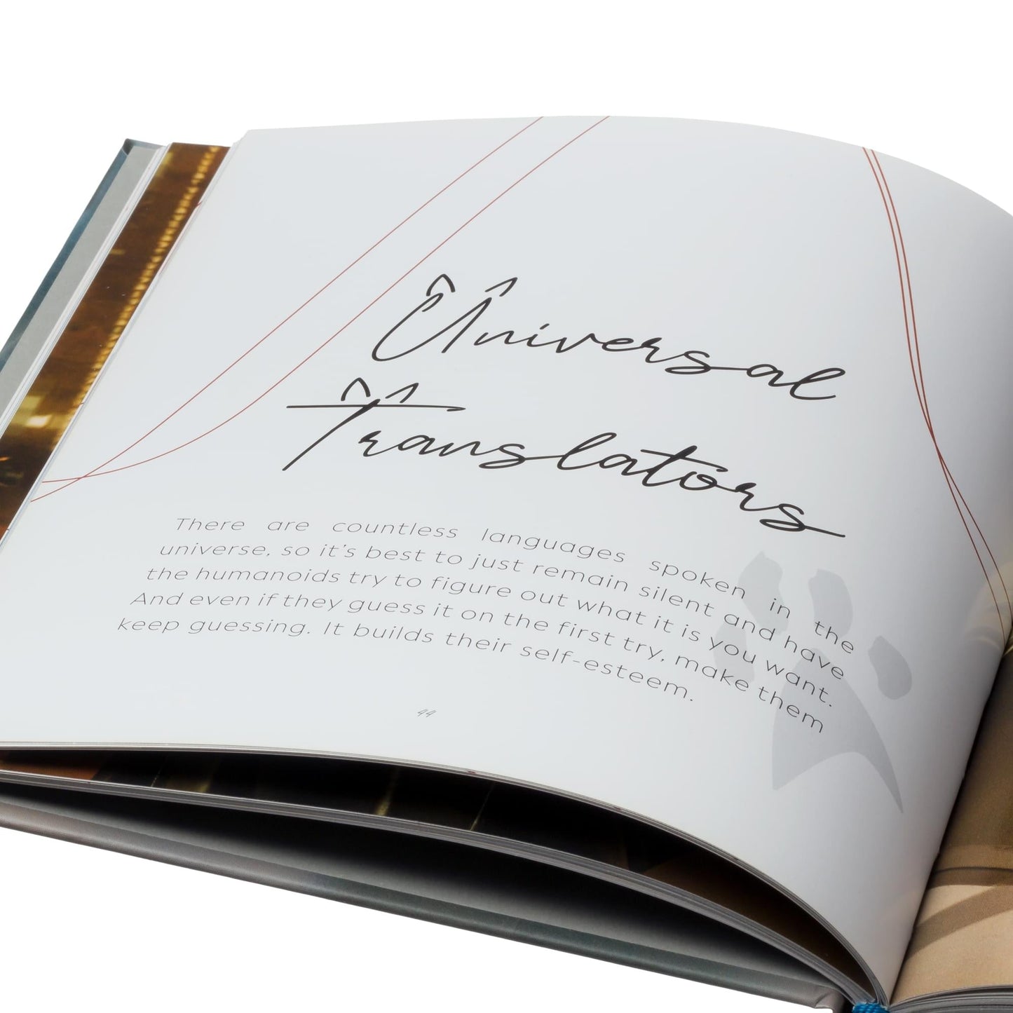Close-up detail of the metallic foil book title stamped across the cover