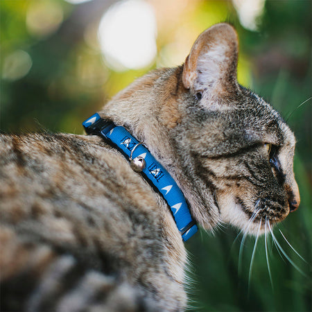 Blue cat collar with white Starfleet Delta icons and silver bell