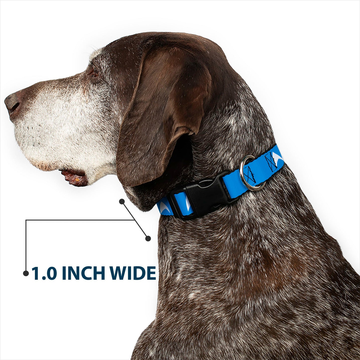 Star Trek Starfleet Insignia Blue/White Plastic Clip Pet Collar