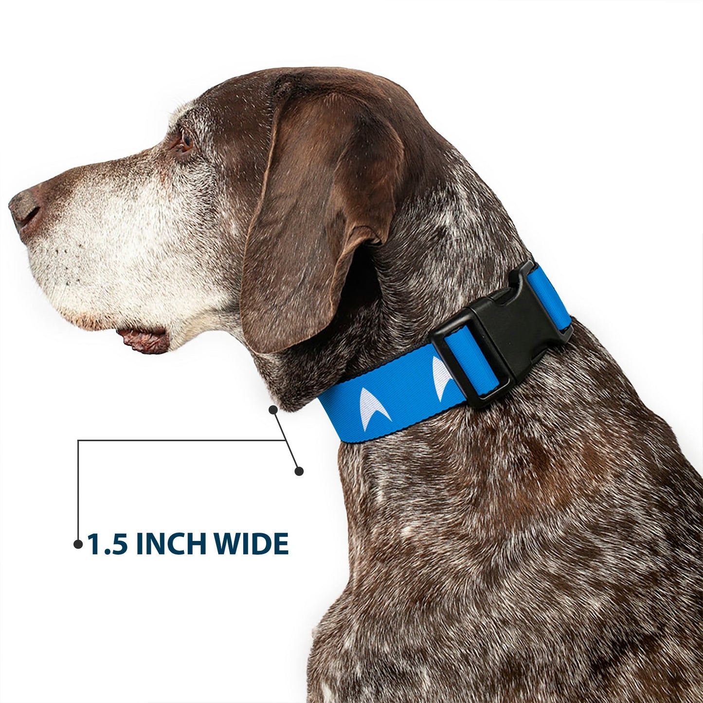 Star Trek Starfleet Insignia Blue/White Plastic Clip Pet Collar