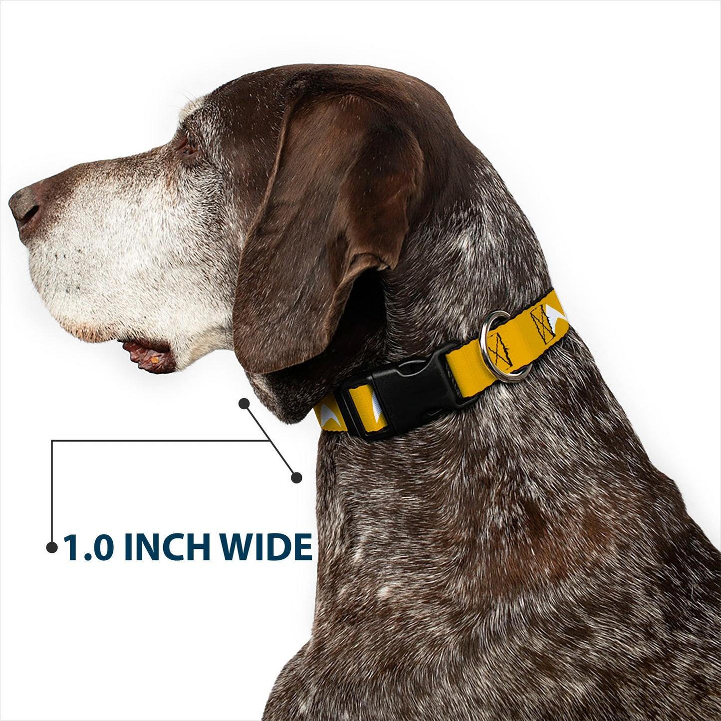 Star Trek Starfleet Insignia Golden Yellow Pet Clip Collar