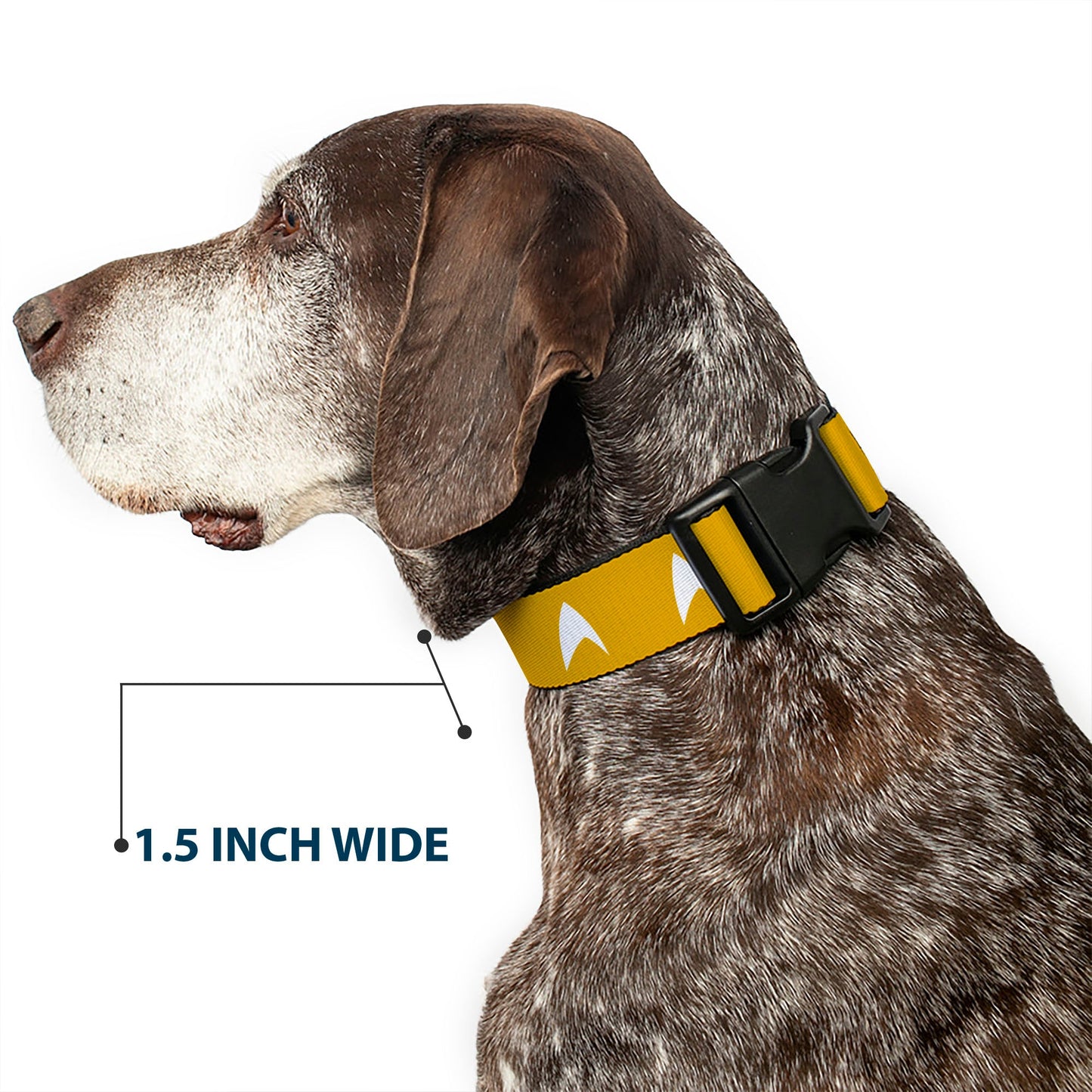 Star Trek Starfleet Insignia Golden Yellow Pet Clip Collar