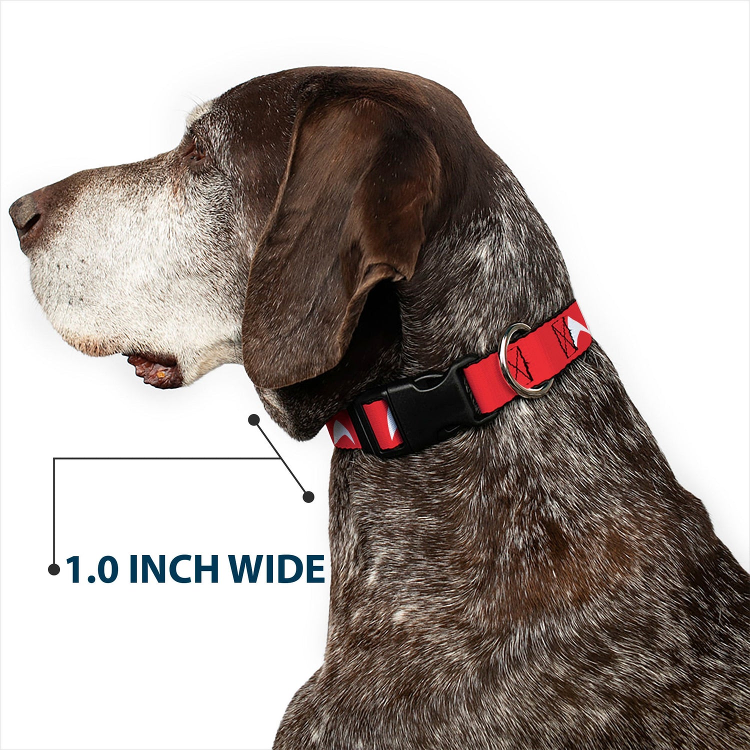 Side profile of the adjustable slider on the Star Trek pet collar