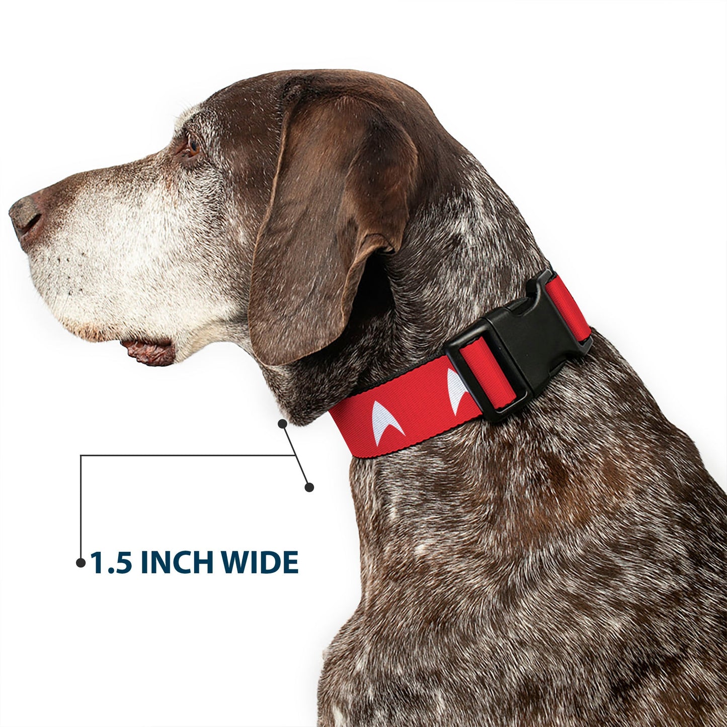 Star Trek pet collar displayed on a white background