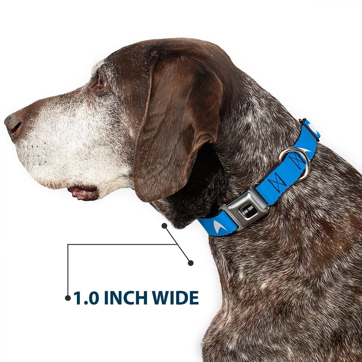 Full length view of the adjustable Star Trek pet collar