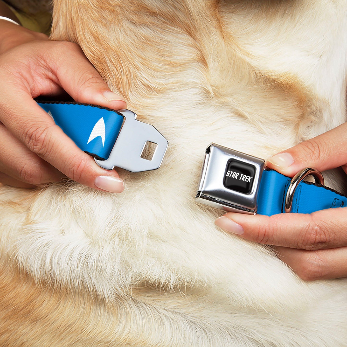 Star Trek pet collar packaging and branding