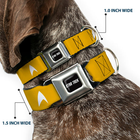 Close-up of the metal seatbelt buckle release on the collar
