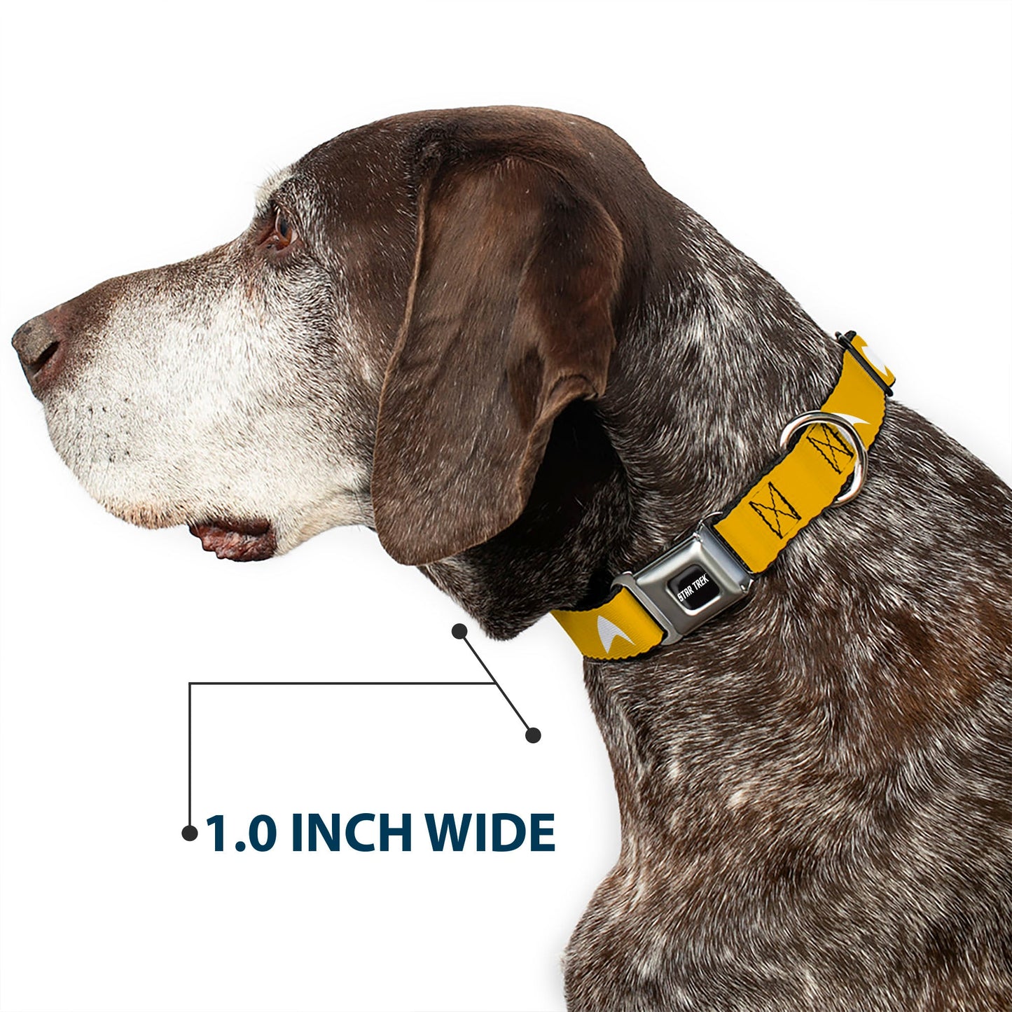 Star Trek Text Logo and Starfleet Insignia Seatbelt Pet Collar