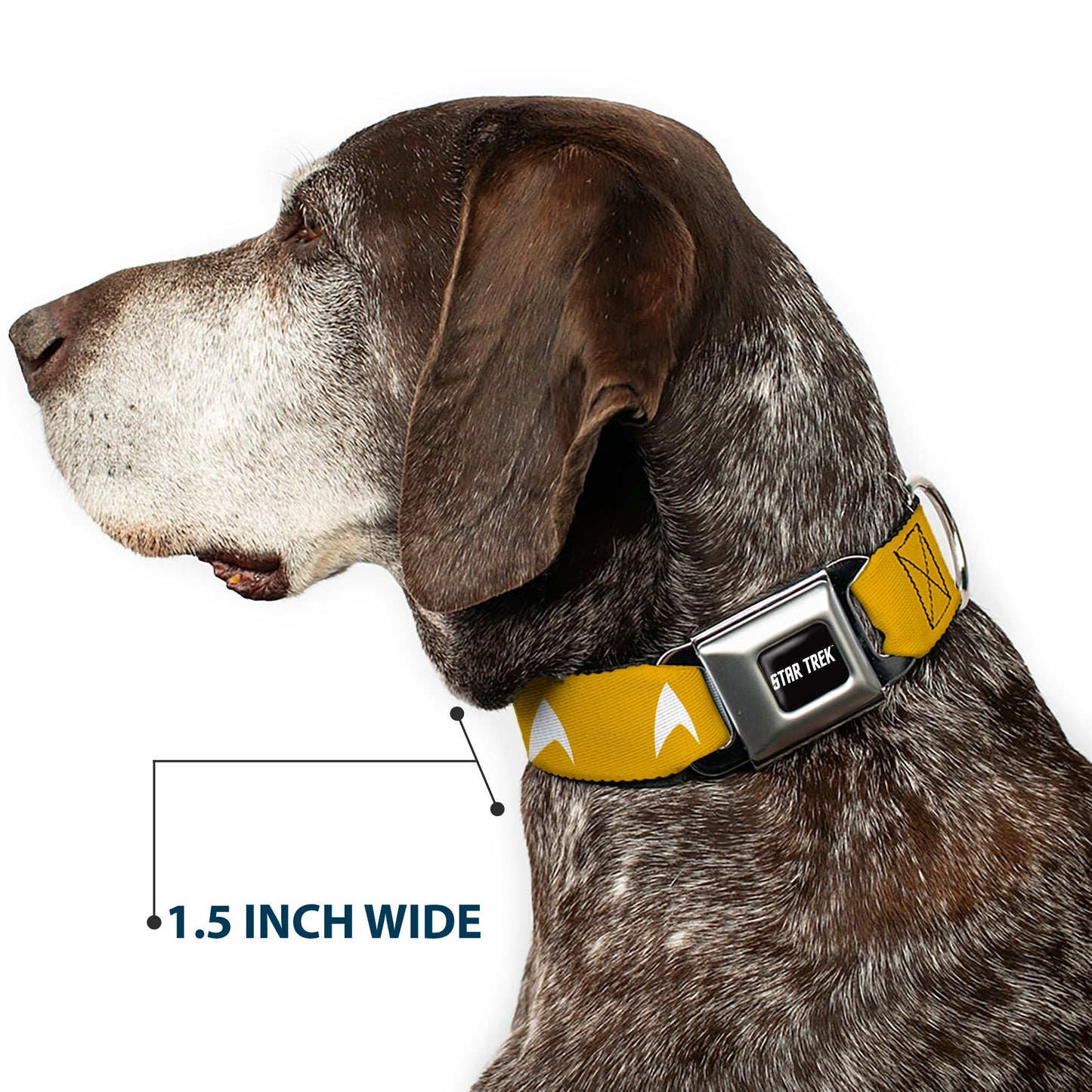 Star Trek Text Logo and Starfleet Insignia Seatbelt Pet Collar