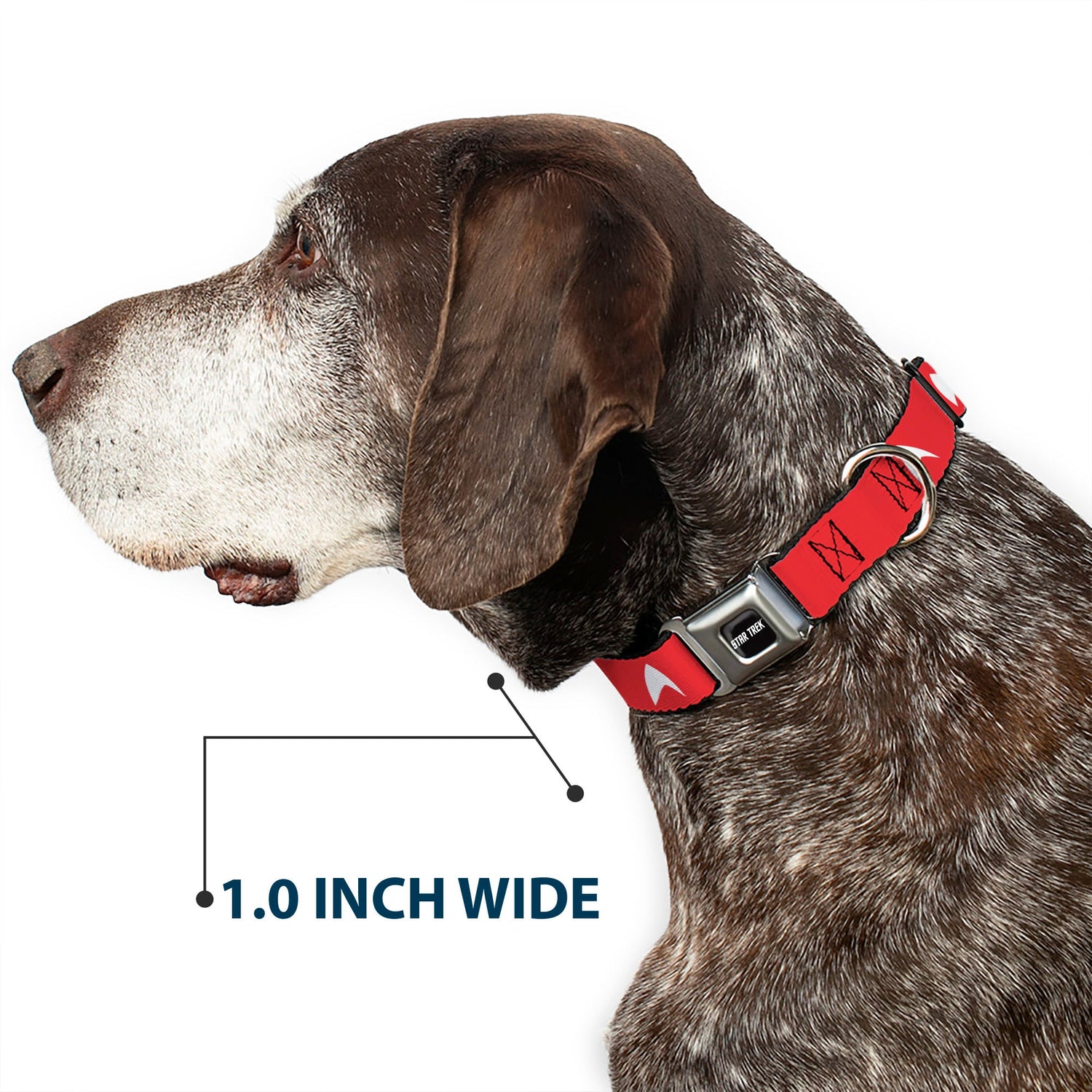 Detail of the adjustable slider on the Star Trek pet collar