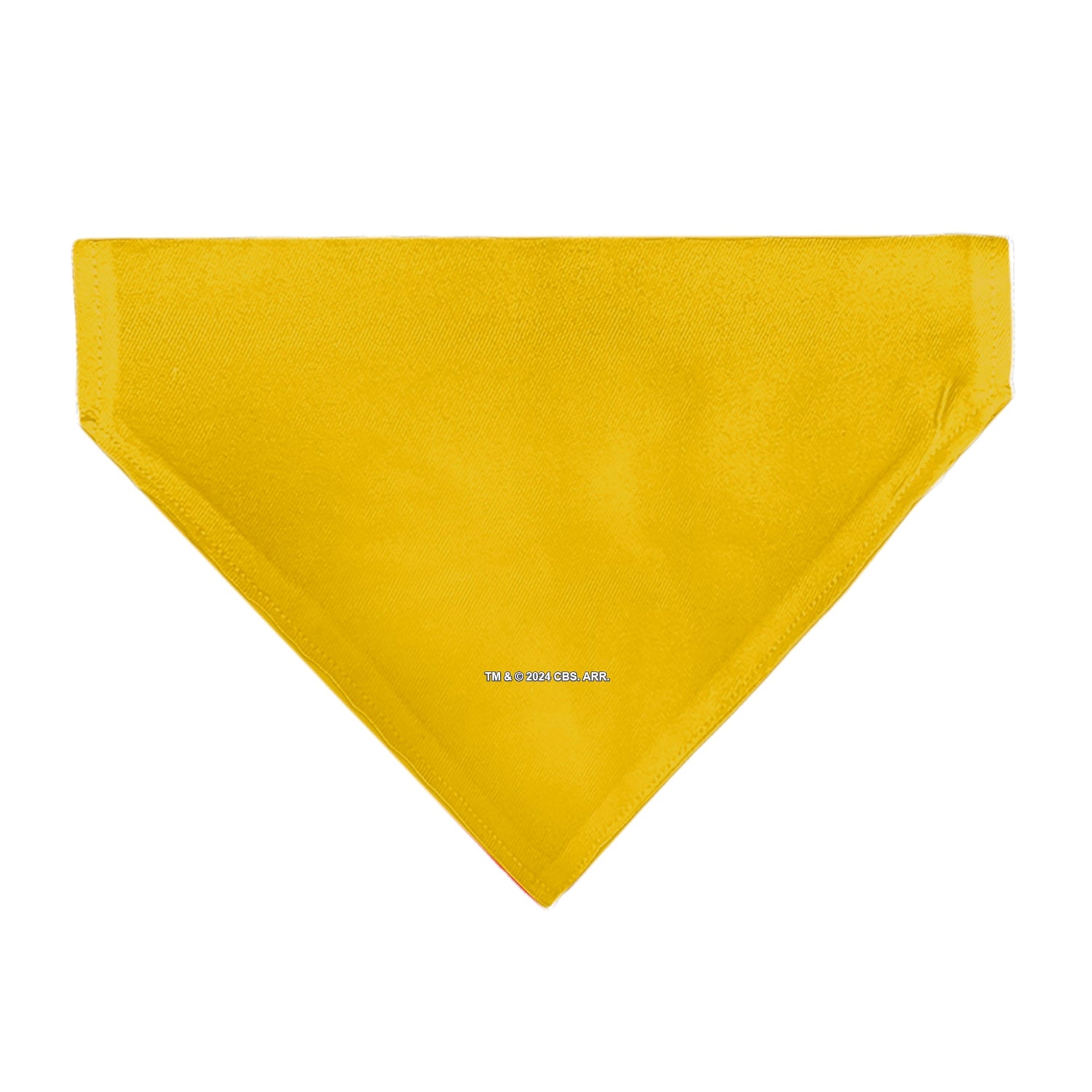 Dog wearing the Star Trek yellow uniform bandana accessory