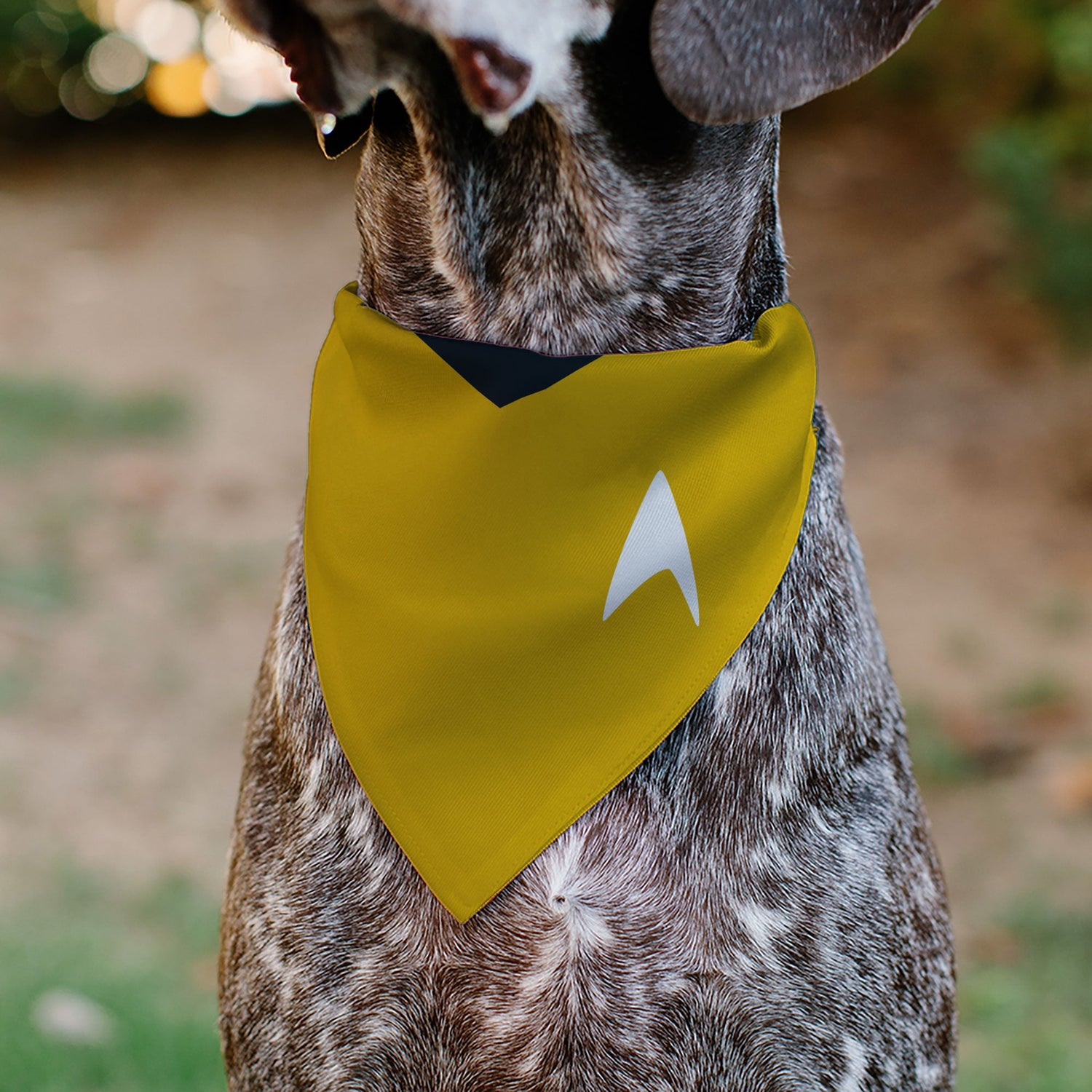 Star Trek Command Yellow bandana showing adjustable tie ends