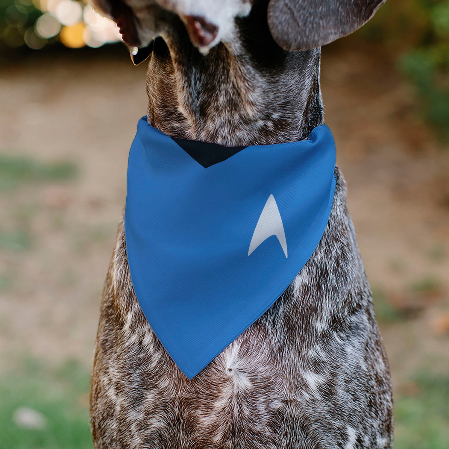Full view of the Star Trek blue bandana laid flat.