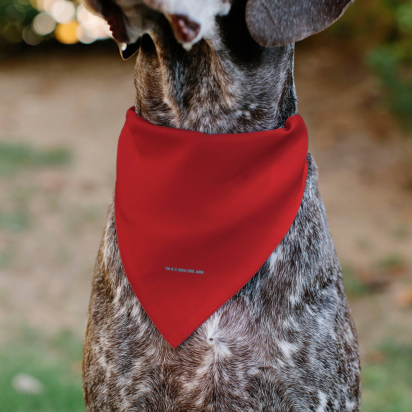 Durable polyester fabric texture of the Star Trek Red Uniform pet bandana