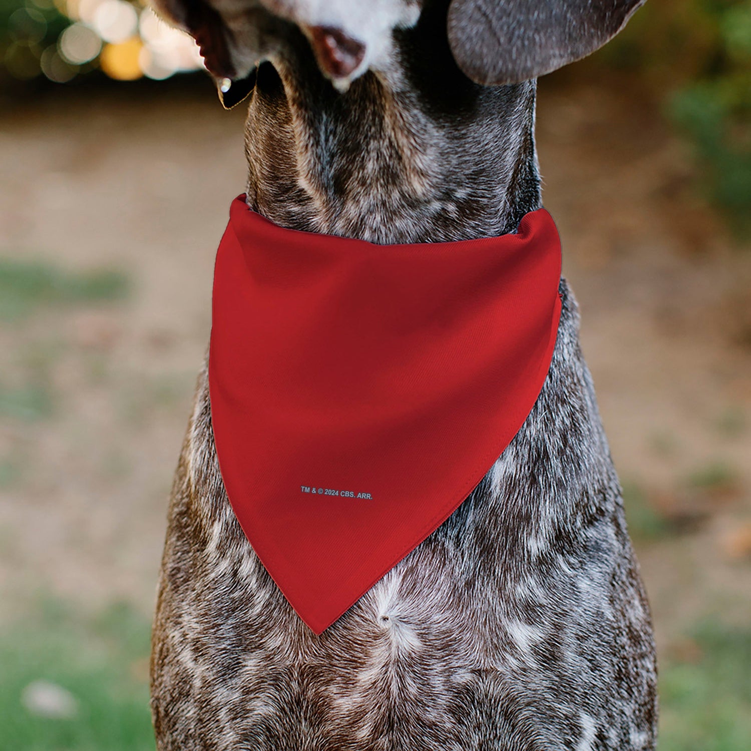 Durable polyester fabric texture of the Star Trek Red Uniform pet bandana