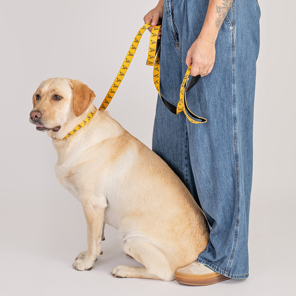Star Trek: The Original Series Command Pet Leash