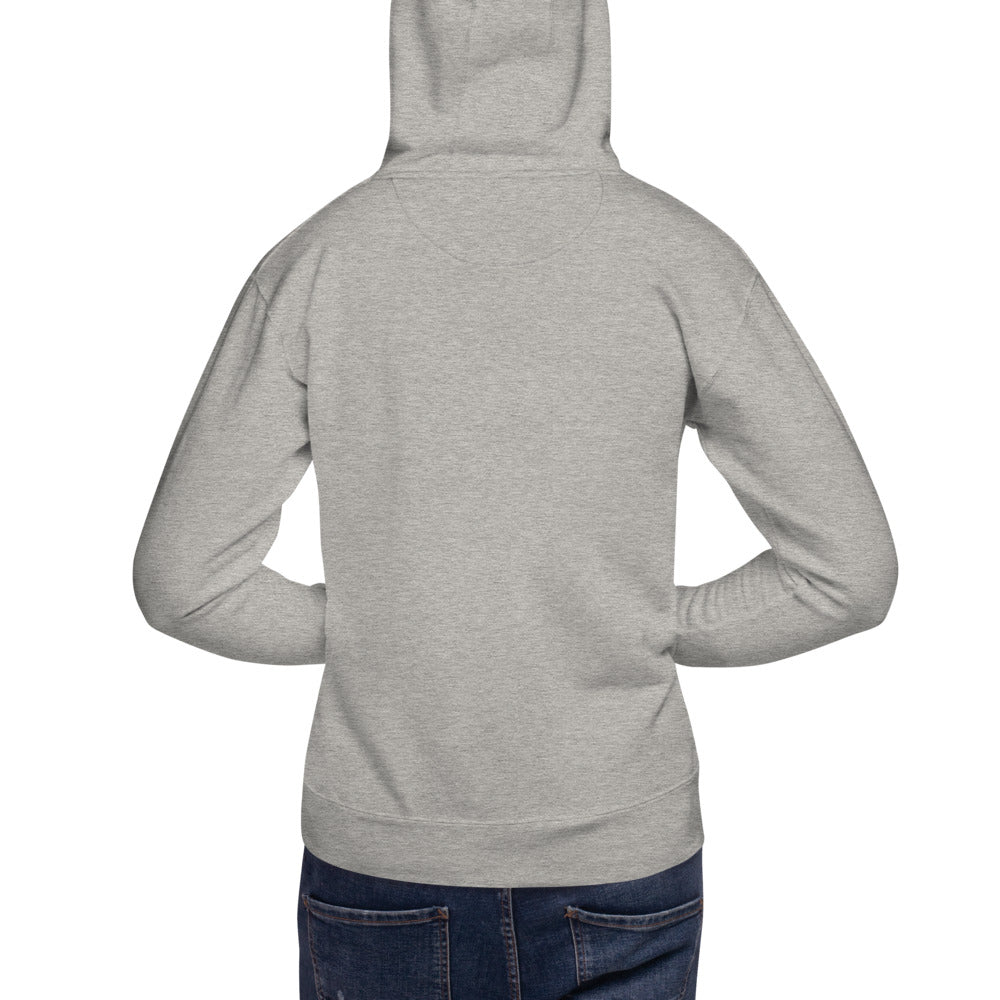 Star Trek Starfleet Academy Logo Unisex Premium Hoodie
