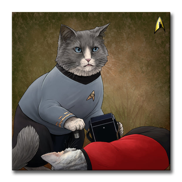 Star Trek: The Original Series McCoy Cat Premium Satin Poster