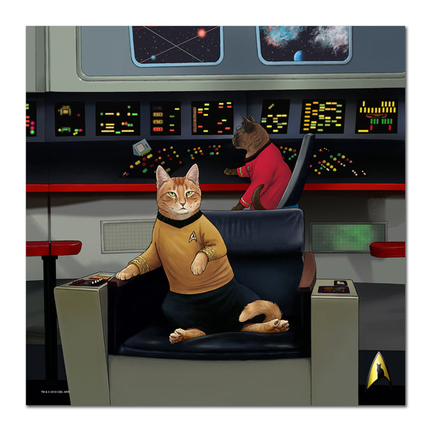 Star Trek: The Original Series Kirk's Chair Cat Premium Satin Poster