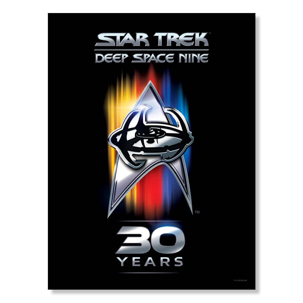 Star Trek: Deep Space Nine 30th Anniversary Premium Poster