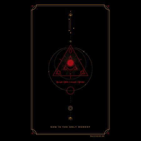 Star Trek: Picard Now Is The Only Moment Adult Short Sleeve T-Shirt