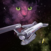 Star Trek: The Original Series Space Cat Premium Tote Bag